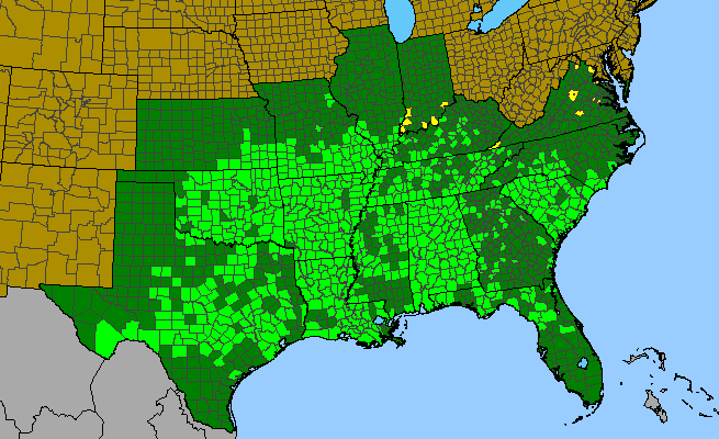 The range of Cocculus carolinus